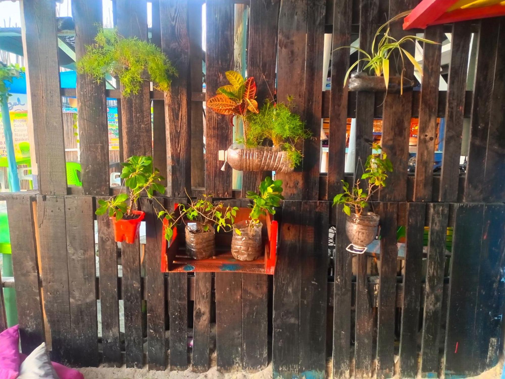 La Cabana Magica ปลายาบลังกา ภายนอก รูปภาพ